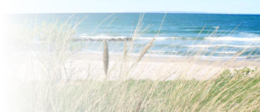 Strandszene mit feinem Seegras im Vordergrund und Meer im Hintergrund