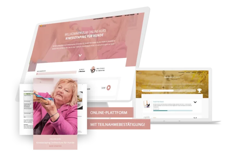 Kinesiotaping Online-Kurs für Hunde von Dr. Sabine Mai