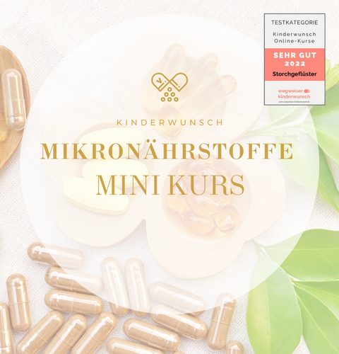 KIWU Mikronährstoffe Mini Kurs Cover mit Kapsel-Motiv und Siegel "Sehr Gut 2022"
