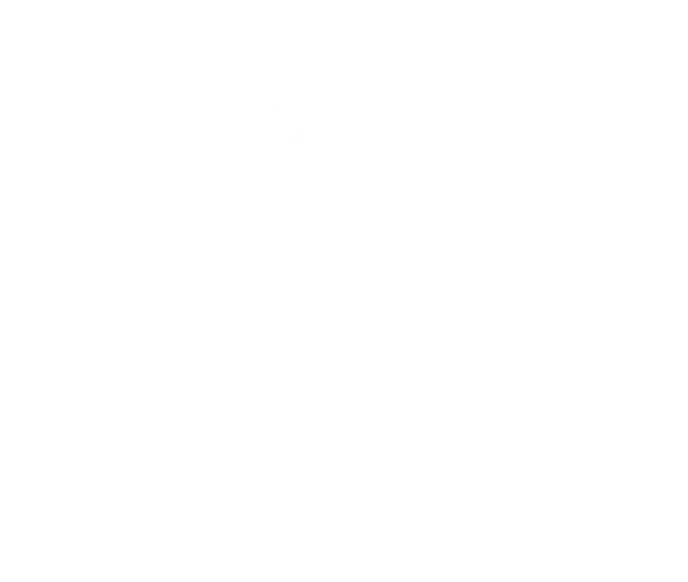 Grafikmodul zum Körpersprache Master Kurs