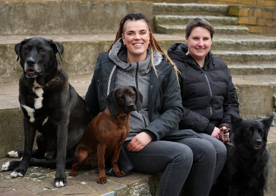 KöterCoach Adventskalender Hero-Bild mit zwei Frauen und drei Hunden auf Stufen