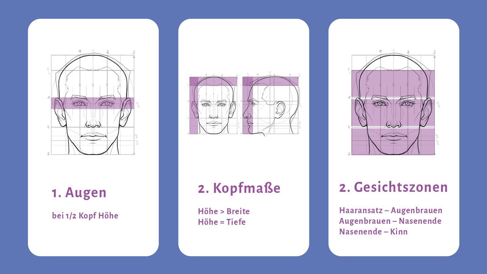 Drei Anleitungs-Karten zum Portrait zeichnen: Augenlage, Kopfmaße, Gesichtszonen mit Proportionslinien und Messverhältnisse