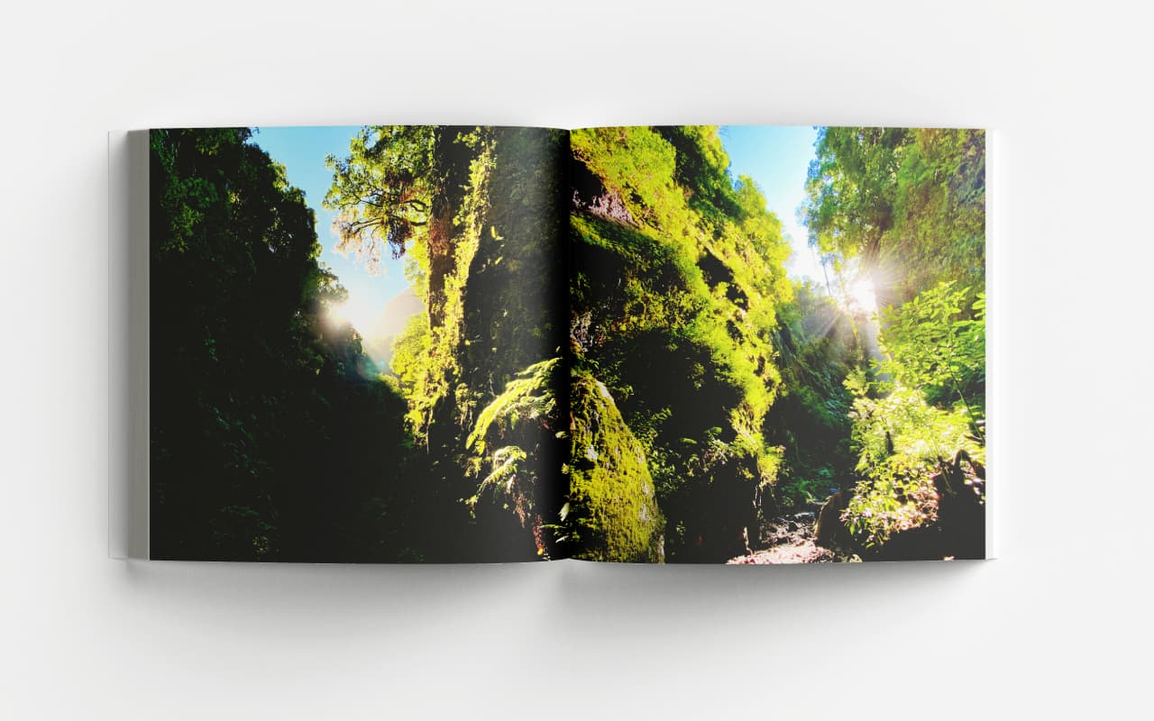 Aufgeschlagener La Palma Bildband mit großformatigem Foto einer Schlucht mit moosbedeckten Felsen, grüner Vegetation und Wass