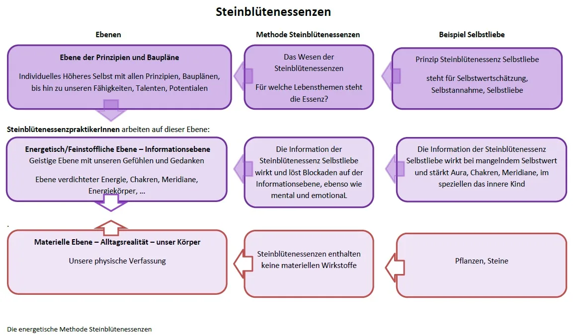 Infografik Steinblütenenzenzen mit drei Ebenen: Prinzipien und Baupläne, Methode, Selbstliebe und energetisch-feinstoffliche