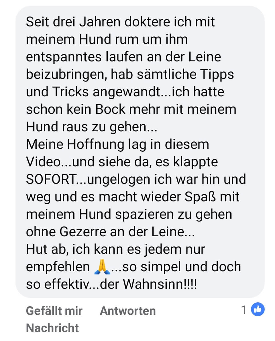 Facebook-Post einer Nutzerin über 3 Jahre Hundetraining und erfolgreiche Leinenführigkeit mit Video-Tipp