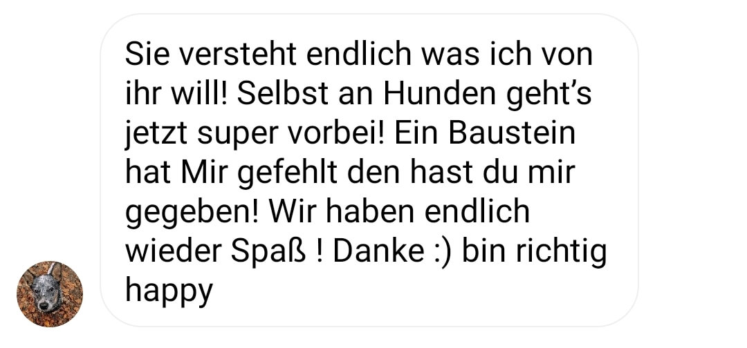 Screenshot eines Kundentestimonials über verbessertes Verständnis für Hundetraining