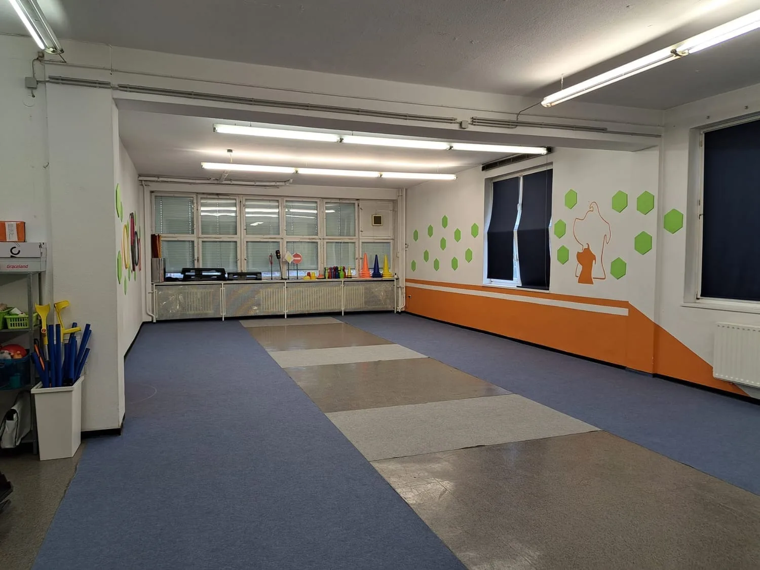 Trainingsstudio mit blauem und beigem Boden, orange Wandakzent, grüne Wanddekorationen und DOGmenti Logo