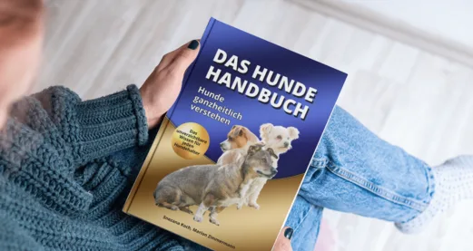 Hundehandbuch-Cover mit zwei Dachshunden, in Händen gehalten
