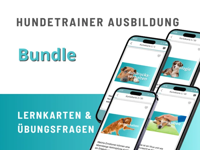 Bundle-Übersicht mit vier Smartphones zeigt Ausbildungs-Lernkarten