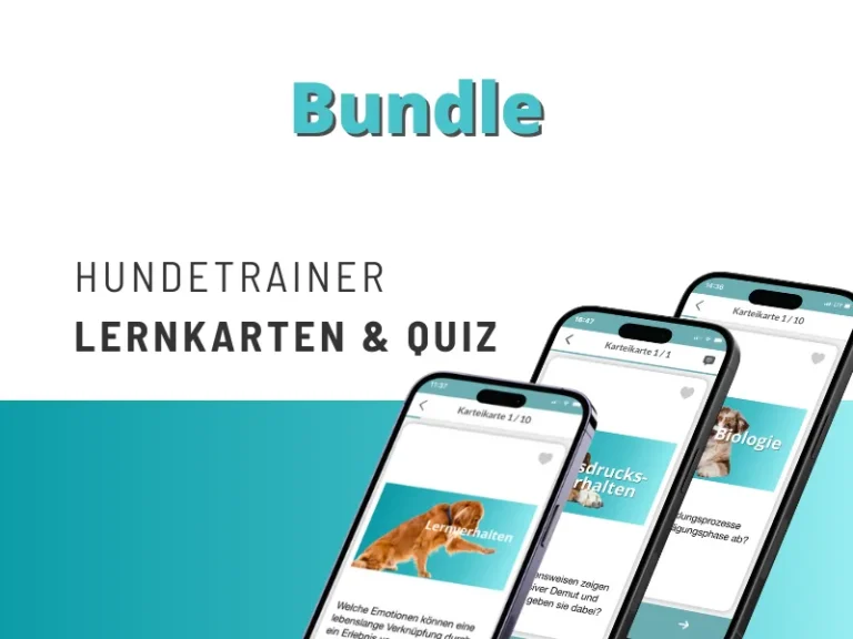 Lernkarten für Hundetrainer – digitaler Prüfungstrainer per App