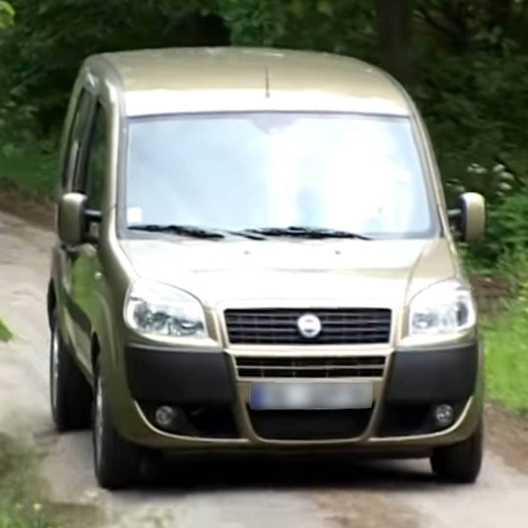Fiat Doblo I Kleinbus in Beige auf Straße mit Grünfläche