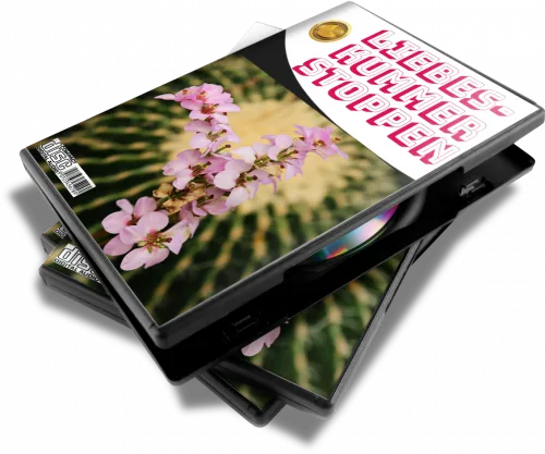 Hörbuch-Cover Liebeskummer stoppen – Hypnose Audio mit rosa Blüten und gestapelten CDs