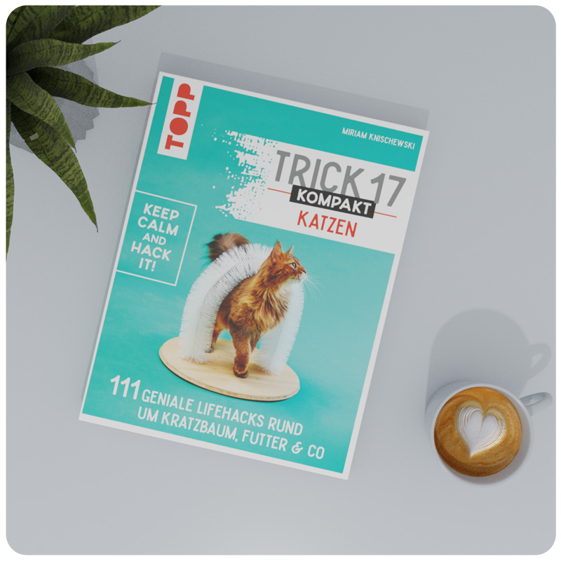 Buch Trick 17 kompakt Katzen von Miriam Knischewski mit Katze auf Cover