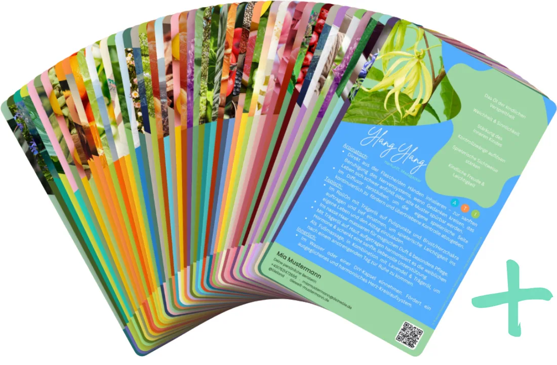 Magic Complete Plus – alle Sets und alle neuen der nächsten zwölf Monate