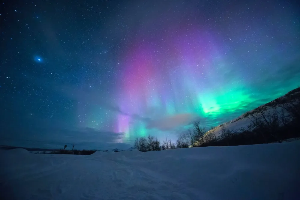 Nordlichter und Sternenhimmel über verschneiter Landschaft mit Bäumen