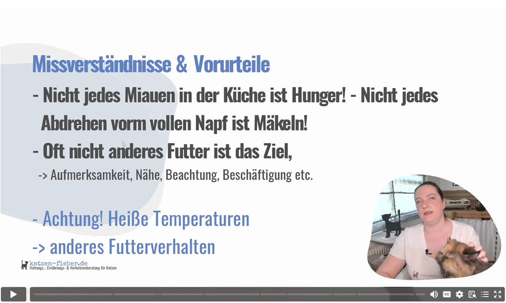 Videostandbild mit Kursinhalten zu Missverständnissen und Vorteilen bei Katzenfütterung, Dozentin mit Katze im Studio