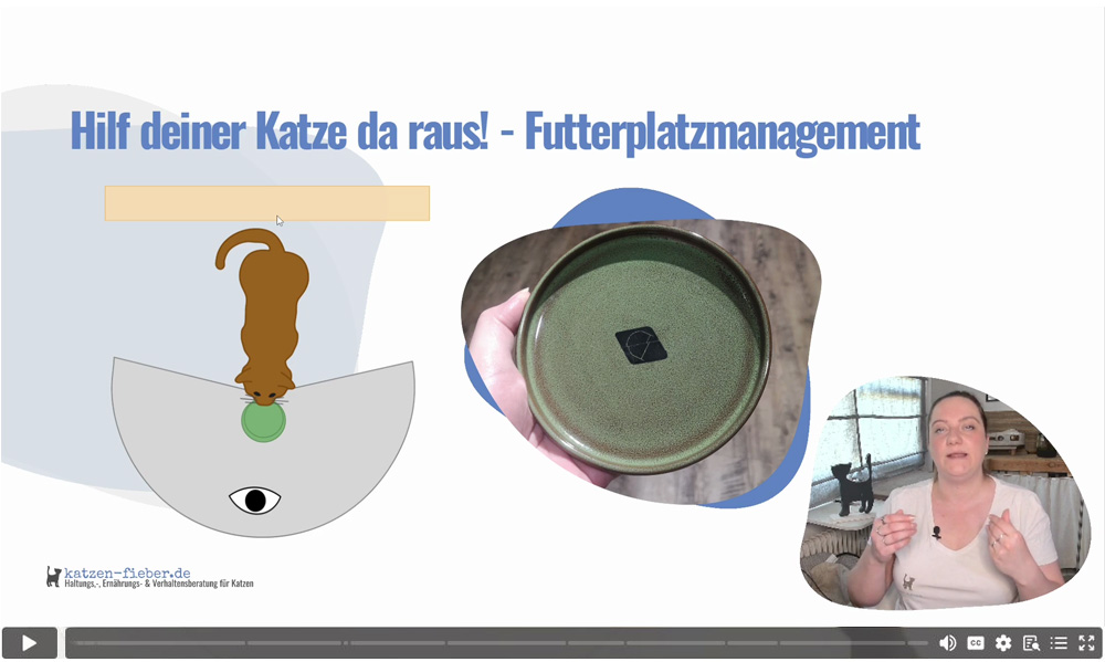 Videostandbild zu Futterplatzmanagement mit Infografik-Elementen und Dozentin bei der Erklärung im Studio