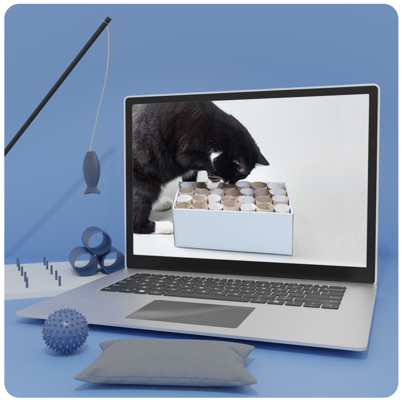 Laptop-Mockup mit schwarzer Katze und Beschäftigungsspielzeugen auf dem Bildschirm, Spielangel und Zubehör seitlich