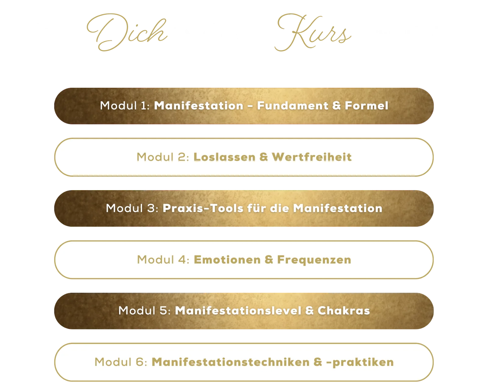 Manifestation Master – Videokurs zur Wunscherfüllung 4 Kursmodule 1-6 mit Titles: Fundament & Formel, Loslassen & Wertfreiheit, Praxis-Tools, Emotionen & Frequenzen, Manifestations