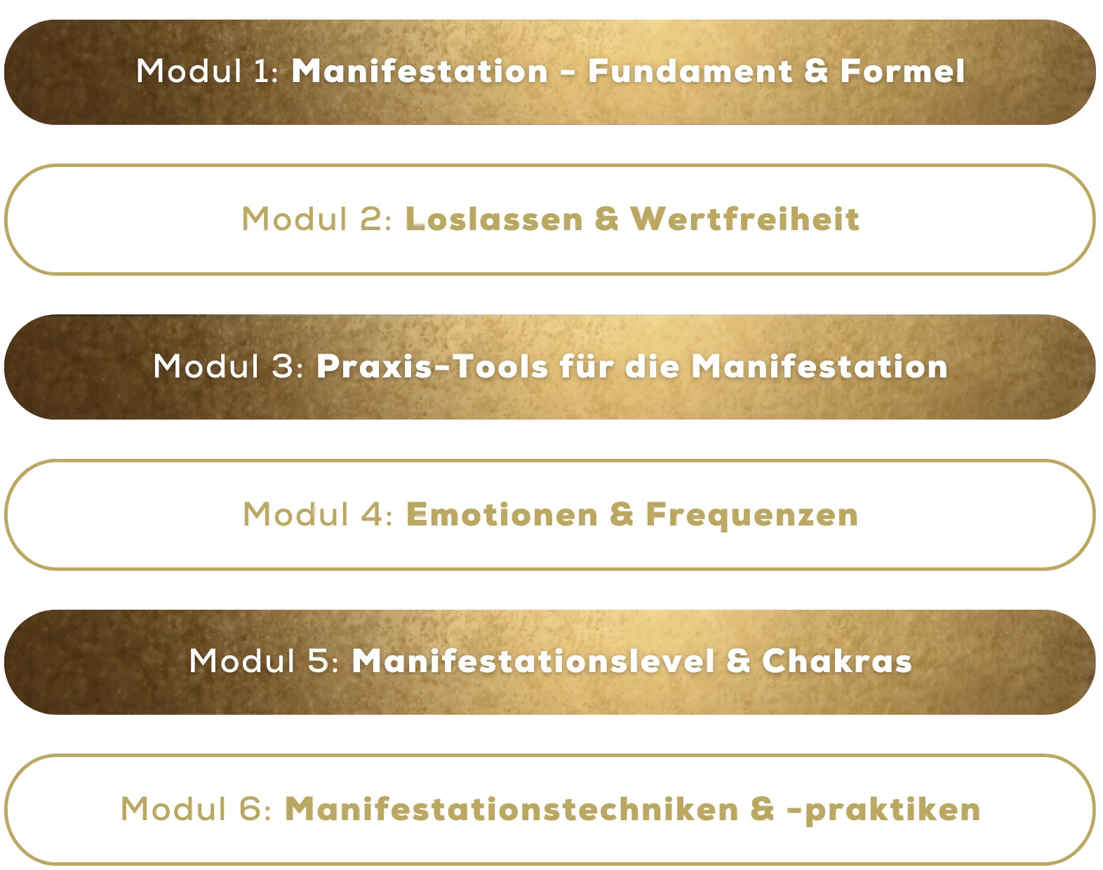Manifestation Master – Videokurs zur Wunscherfüllung 10 Modulübersicht des Manifestation Master Kurses mit 6 Modulen in Gold und Dunkelbraun