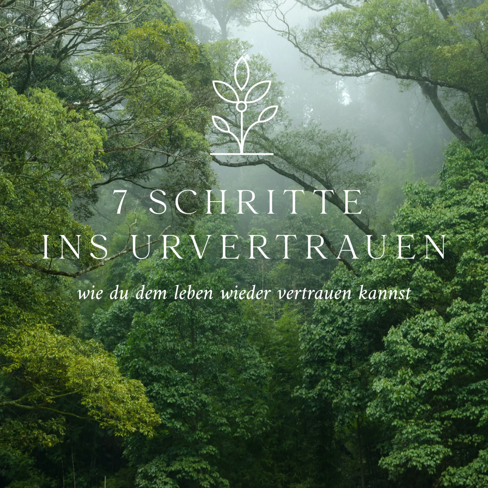 Master Alchemist – Videokurs zum Manifestieren von Simone Weber 6 Grüner Wald im Nebel mit Text 7 Schritte ins Urvertrauen, Pflanze als Logo