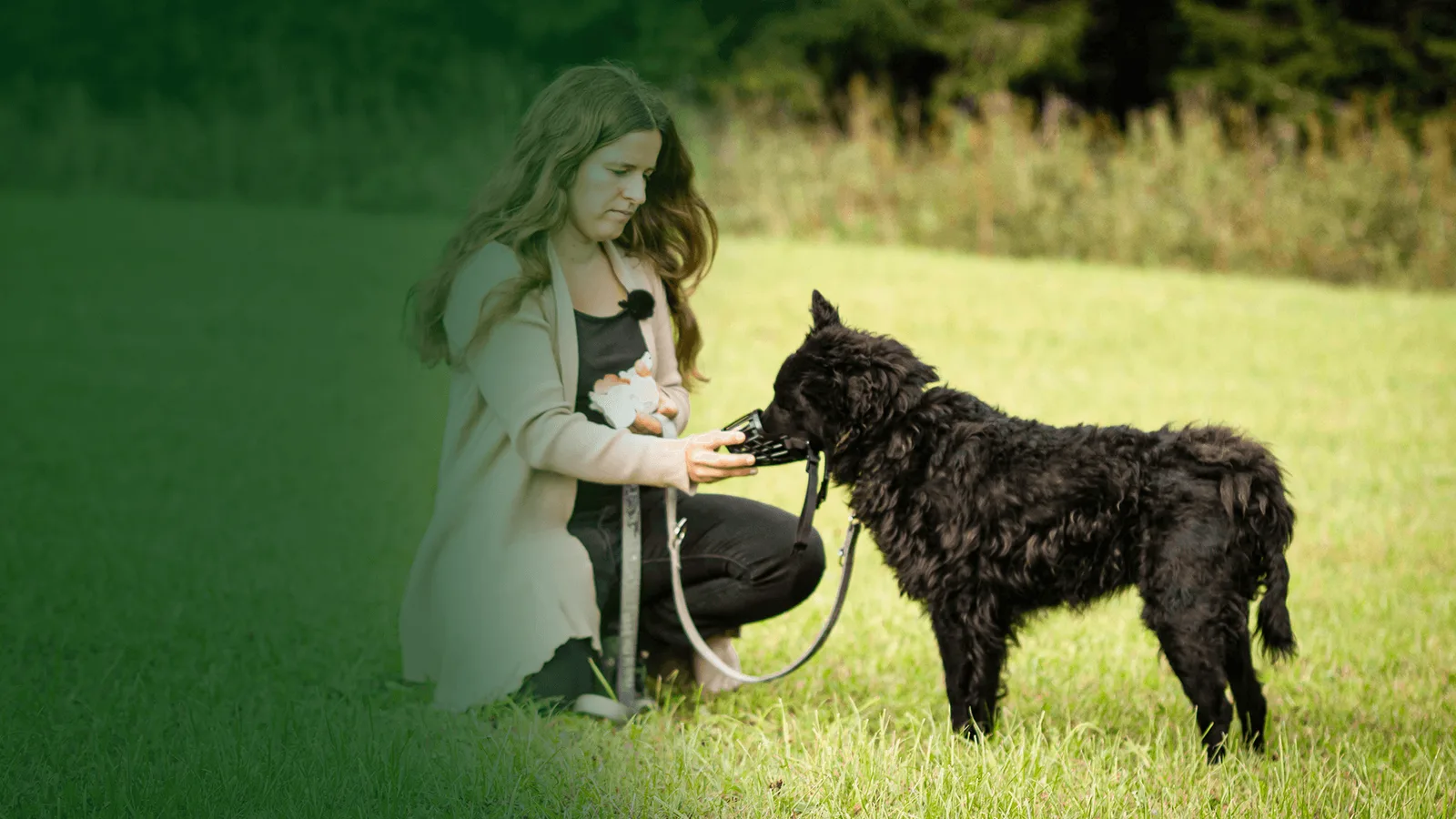 Master The Muzzle Videokurs Header mit Produkttitel