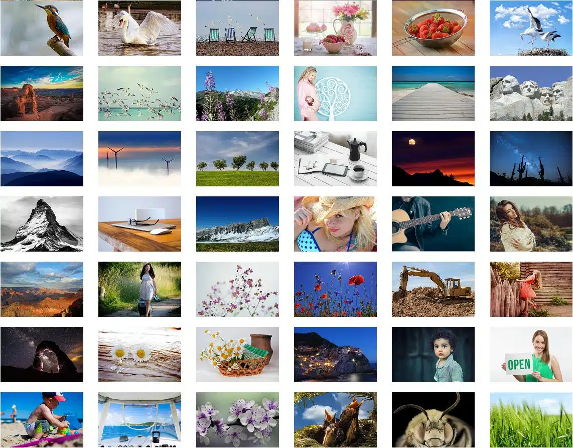 Mega Photo Pack - Galerie mit Vögel, Natur, Menschen, Blumen und Architektur-Aufnahmen
