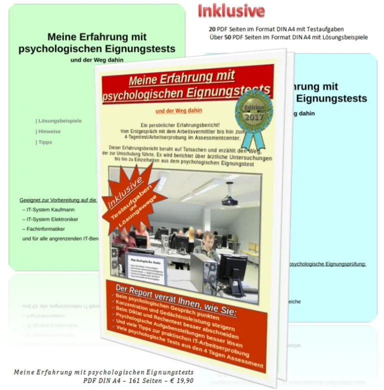Meine Erfahrung mit psychologischen Eignungstests – Test-E-Book