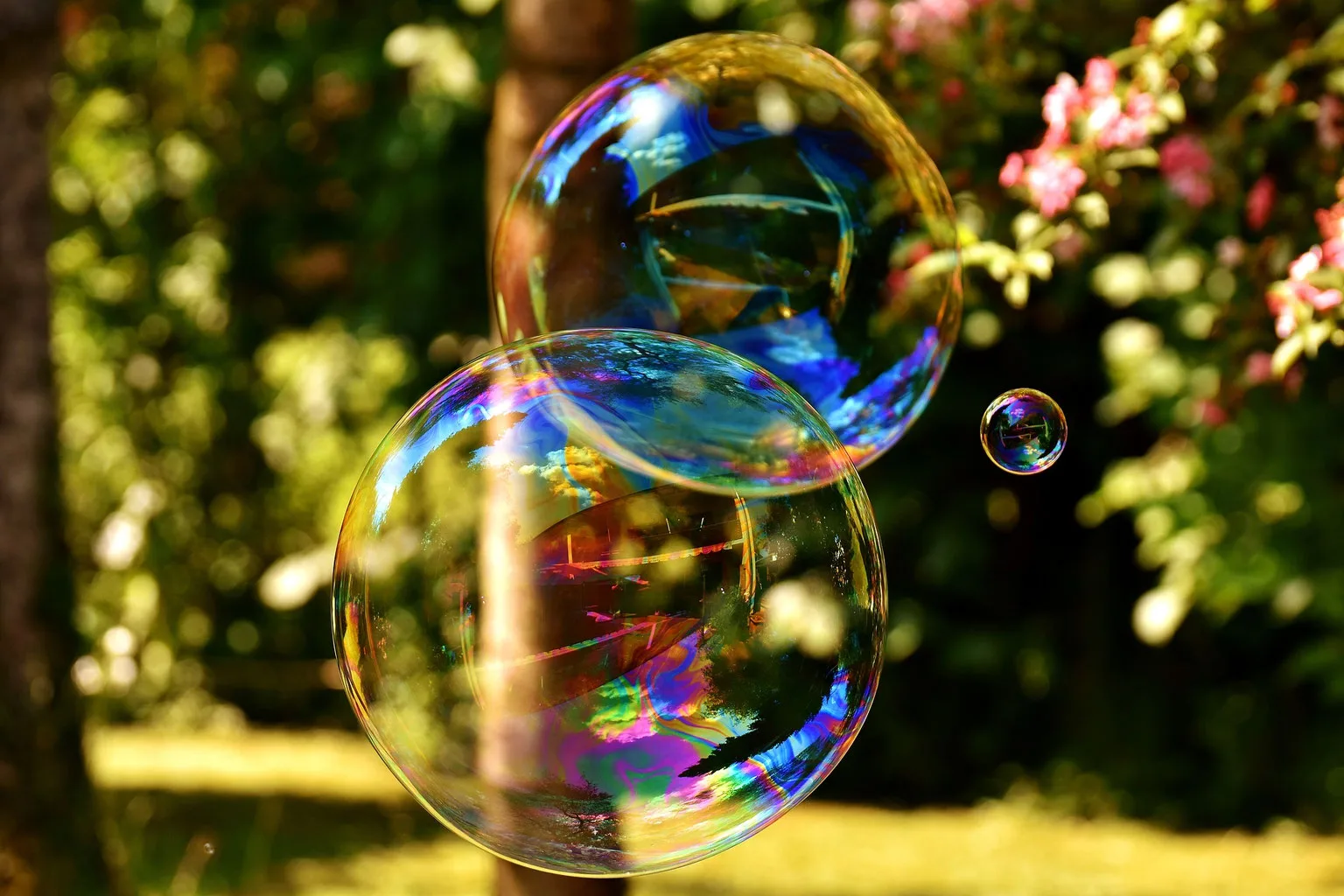 Seifenblasen mit Regenbogenreflexen vor blumigem Garten - abstrakte Hintergrundgrafik