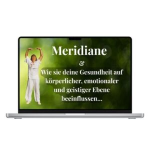 Premium Videokurs Meridiane und Gesundheit Laptop-Bildschirm