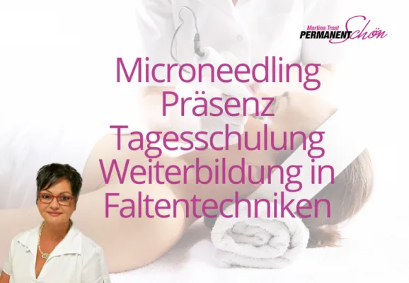 Werbebanner Microneedling Präsenz Tagesschulung Weiterbildung Faltentechniken