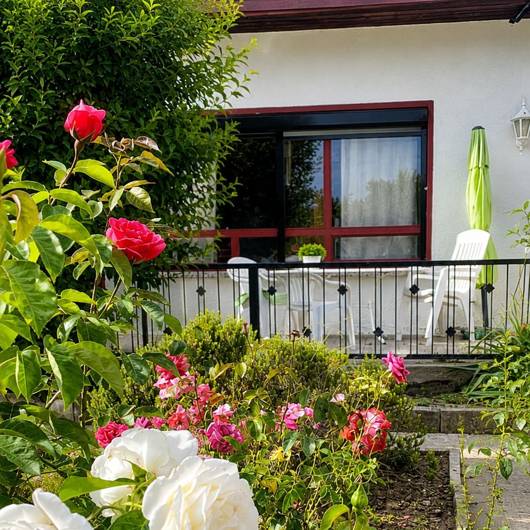 Gartenhaus-Front mit weißem Mauerwerk, roten Sprossenfenstern, Terrassenfassade und blühenden roten Rosen