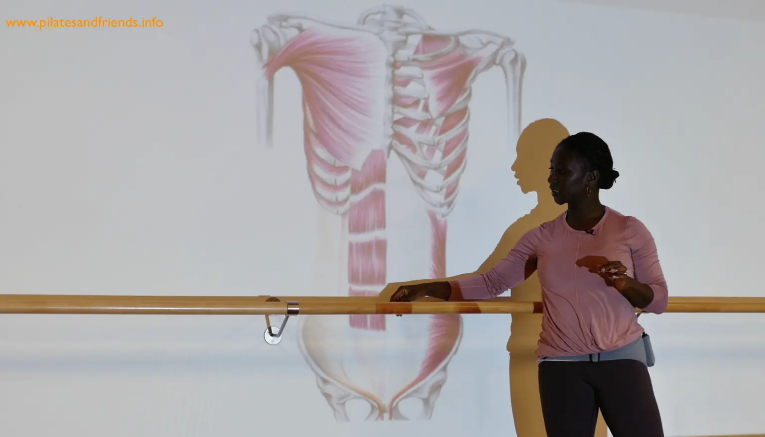 Frau an Ballettstange vor anatomischer Grafik der Bauchmuskulatur und des Skeletts