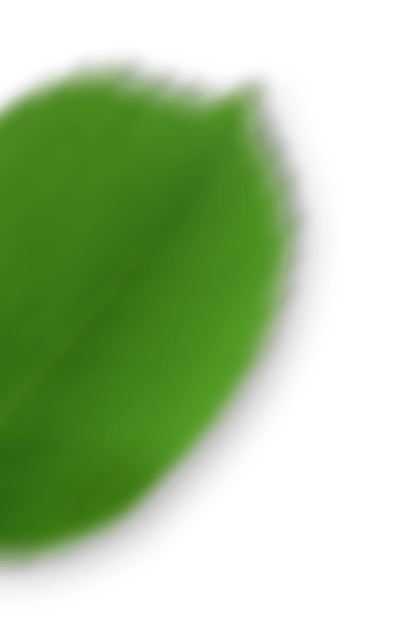 Unscharfes grünes Blatt oder Pflanze auf weißem Hintergrund, dekorative Grafik