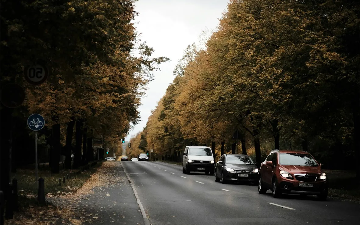 Verkehrsteilnehmer fahren auf herbstlicher Allee mit Fahrrad-Verkehrsschild