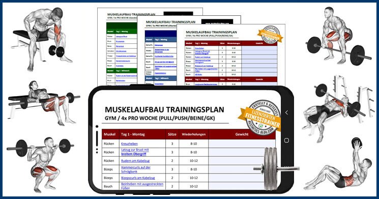 Muskelaufbau-Trainingsplan als Download mit Übungsbeispielen und Trainingsplänen auf Smartphone und Tablet