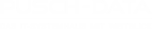 PuschData Logo