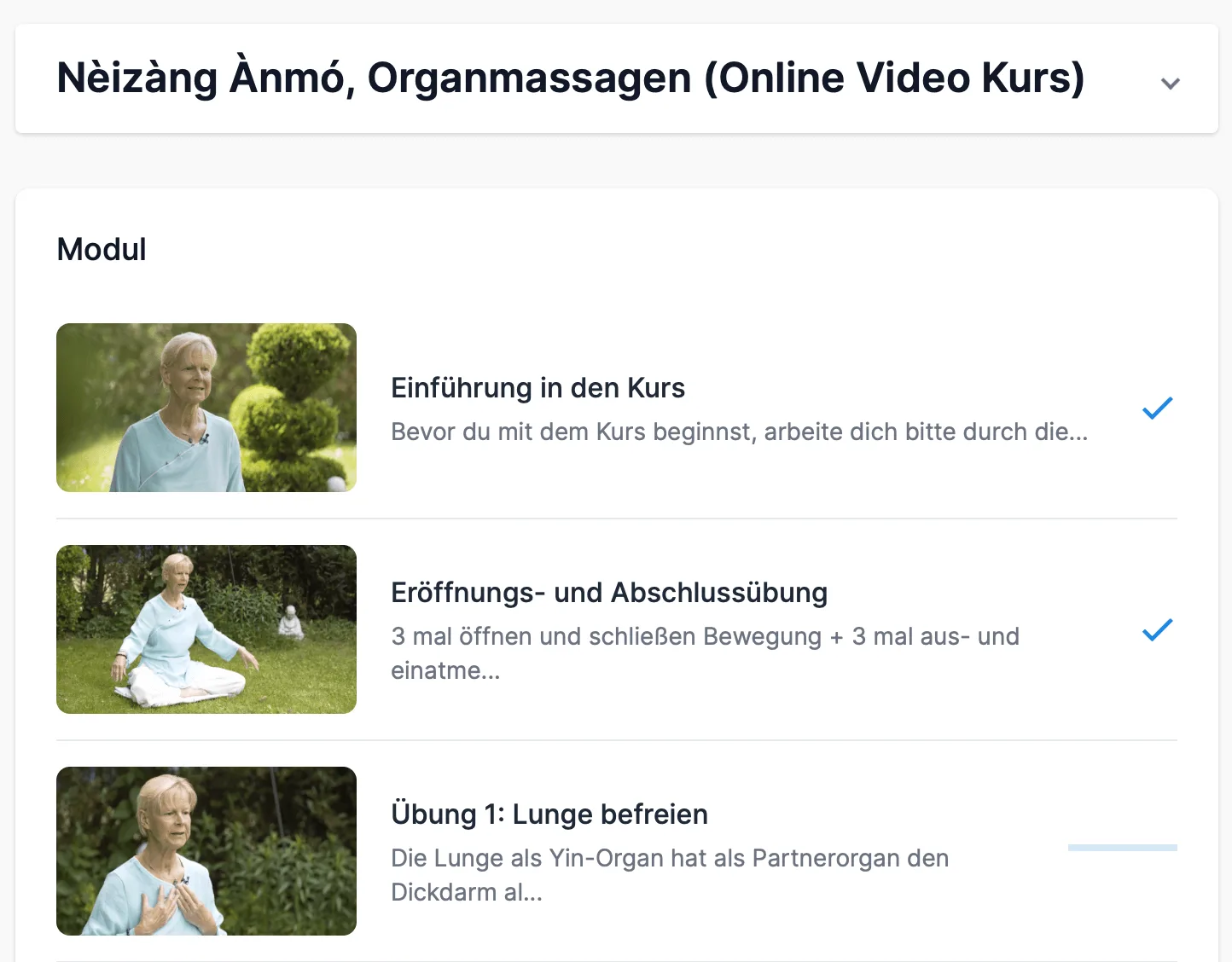 Nèizàng Ànmó – Qi-Gong-Videokurs von Annette Deinzer 3 Kursübersicht Nèizàng Ànmó Organmassagen mit Modulen und Annette Deinzer in verschiedenen Qi-Gong-Positionen