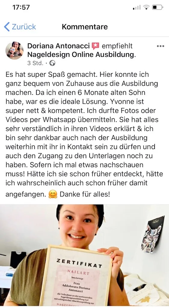 Kursinhalt Nageldesign Online Ausbildung mit Designbeispielen