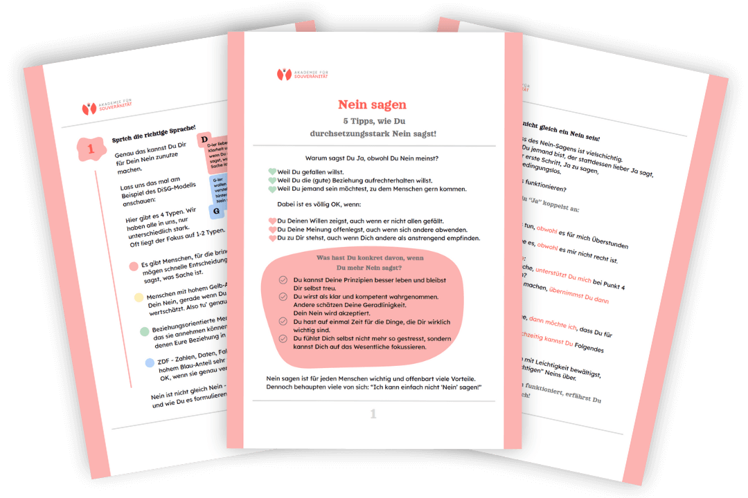 Freebie-Mockup mit drei aufgefächerten Seiten zum Thema Nein sagen, rosa Designelemente, 5 Tipps