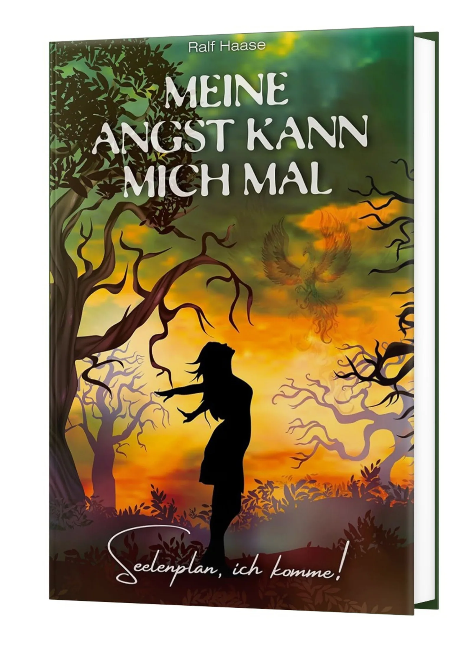 Buchcover 'Meine Angst kann mich mal' von Ralf Haase, Frauensilhouette vor brennendem Baum bei Sonnenuntergang