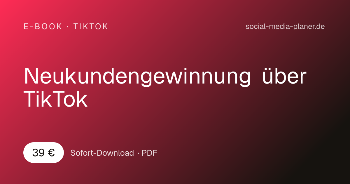 Hero-Banner für E-Book Neukundengewinnung über TikTok mit Preisangabe 39 € und Sofort-Download-Hinweis