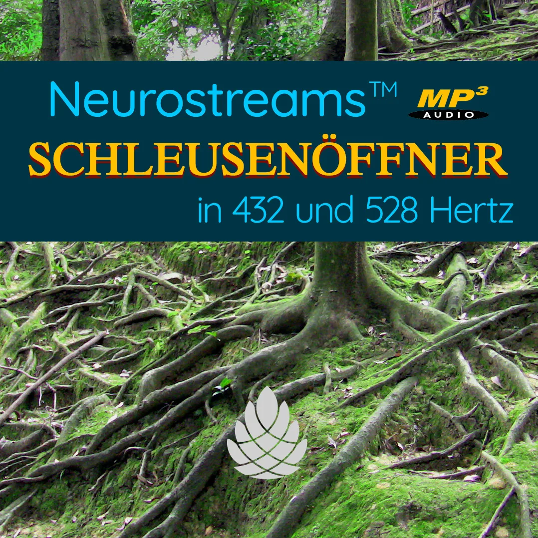 Neurostreams Blutdruck-Schleusenöffner Hero-Grafik mit Waldwurzeln und gelber Flamme