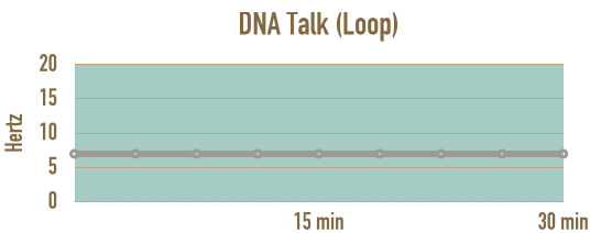 Programmablauf DNA-Talk und Meditationsmodul