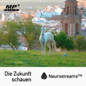 Neurostreams Die Zukunft schauen Audio-Programm Produktmockup