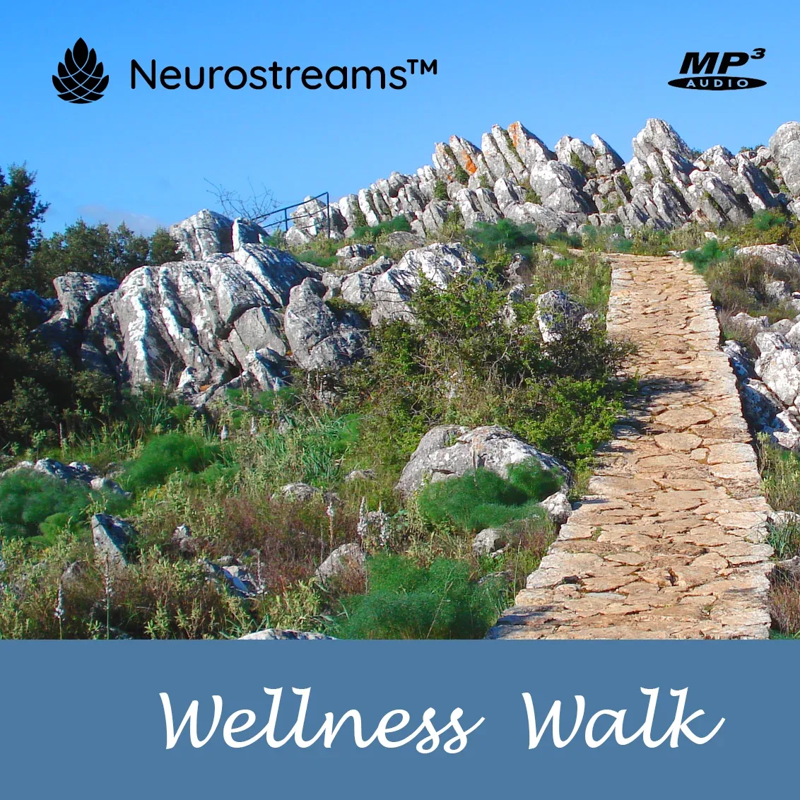 Wanderweg durch steinige Berglandschaft mit blauem Himmel und Neurostreams Logo