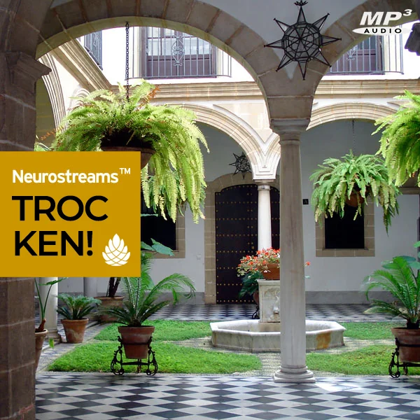 Neurostreams Trocken Cover mit mediterranem Innenhof, hängenden Pflanzen und gelbem Text-Overlay