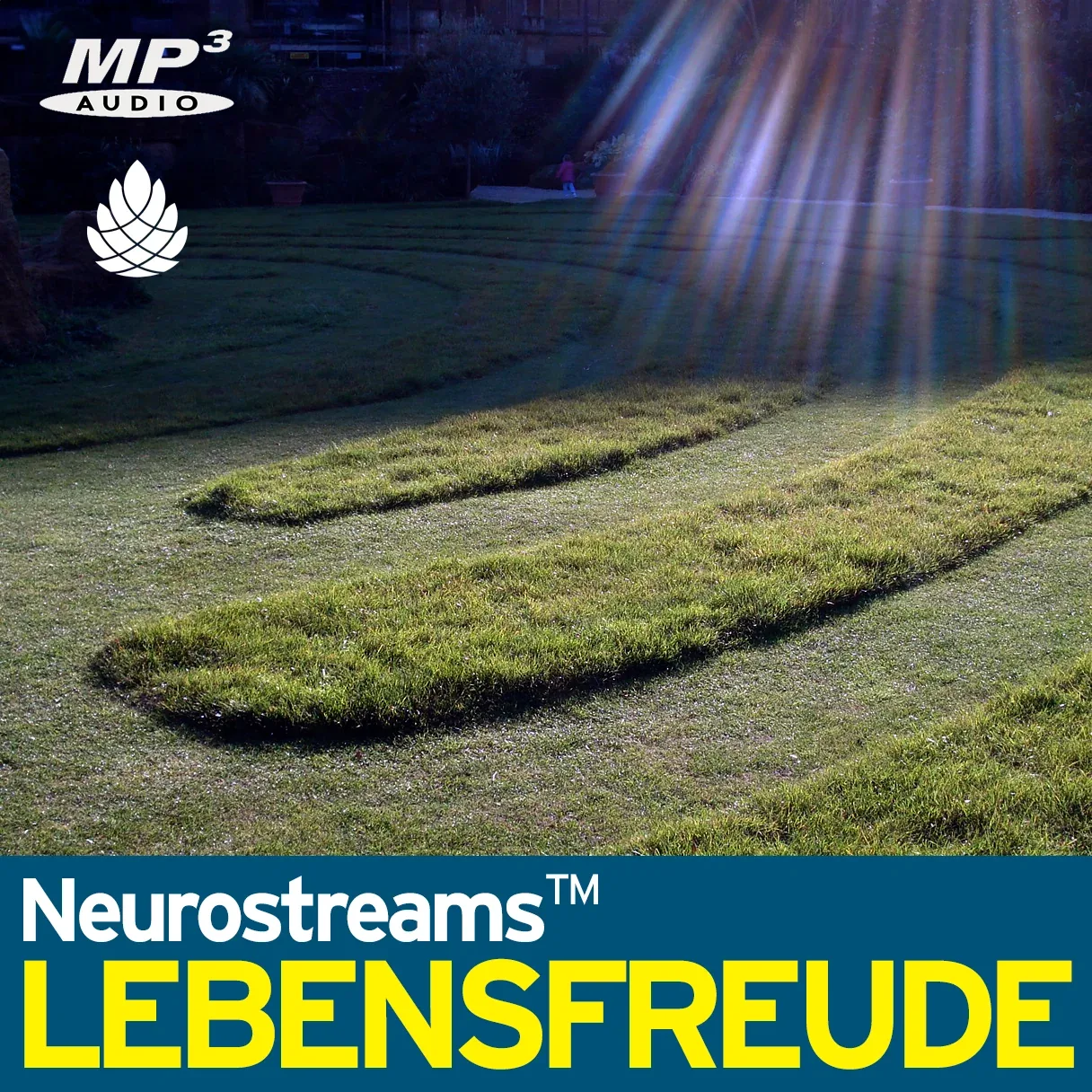 Lebensfreude Cover mit Lichteffekten und Mooslinien auf Erde mit Stadion im Hintergrund