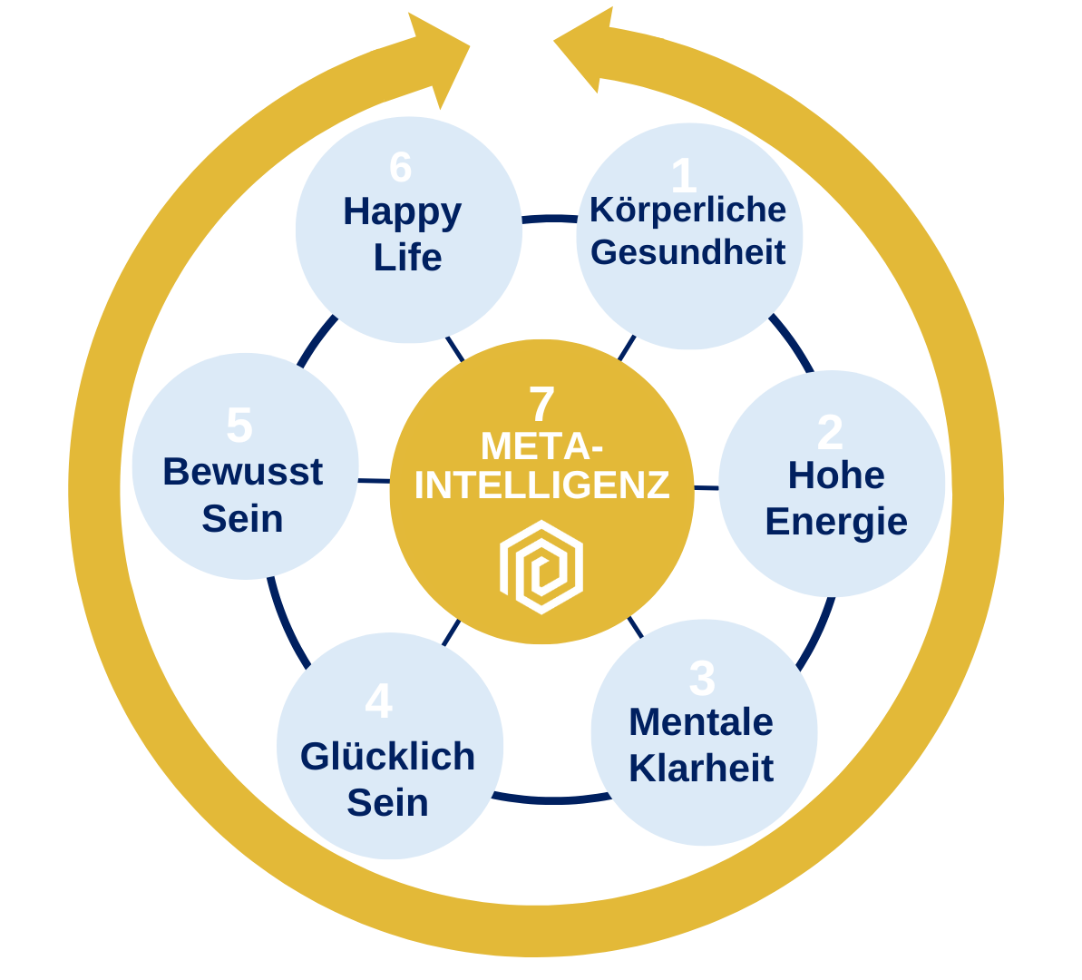 Infografik-Diagramm mit 7 META-INTELLIGENZ-Faktoren in Kreisform: körperliche Gesundheit, hohe Energie, mentale Klarheit, Glü