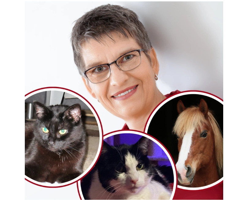 Porträt Petra Schwarz mit Haustieren: schwarze Katze, schwarz-weiße Katze, braunes Pferd